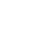 Evolution games at Ted Bingo Casino